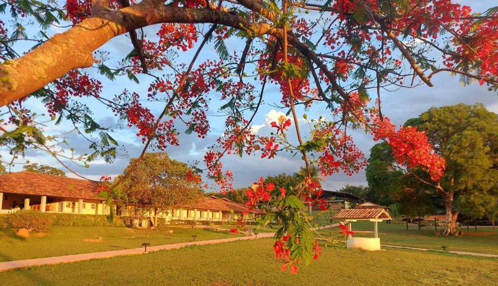 Sertao Veredas Hotel Fazenda Paraopeba Exterior photo
